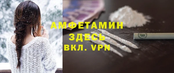 мет Алексин