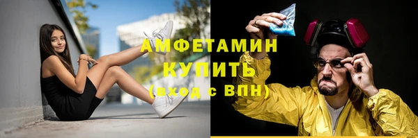 мет Алексин