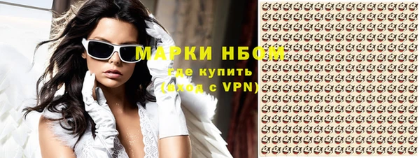мет Алексин