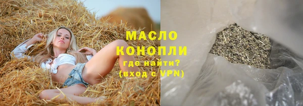 мет Алексин