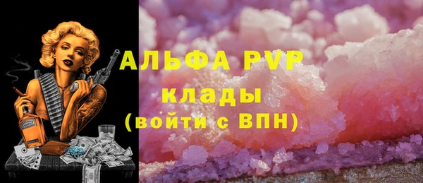 мет Алексин
